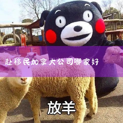 ŴҶ֪,ܶ뼮þȨҪ,ձȴǸ,ס뼮.ձ˫,Ҫ뼮ֻܷԭ..._ձ