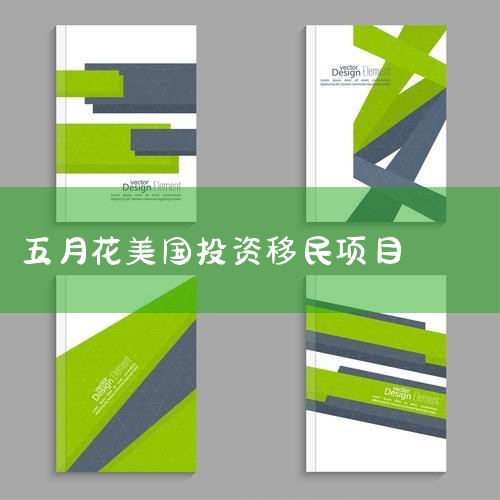 鹿鸣谷·五月花君悦酒店正式面世 新法案通过后,纽约顶级开发商Extell出品的鹿鸣谷·五月花君悦酒店正式面世. 项目去年6月已经开工,共有94个家庭名额,1-3.5年拿到临时绿卡,5-6年拿回投资款,|美国移民