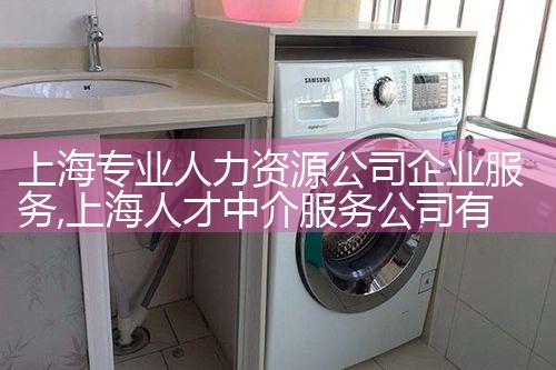 上海专业人力资源公司企业服务