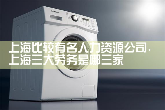 上海比较有名人力资源公司