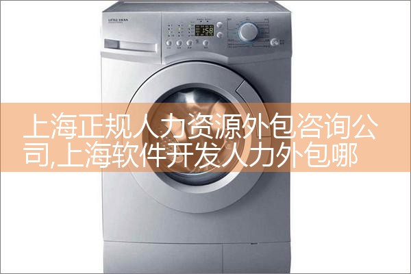 上海正规人力资源外包咨询公司