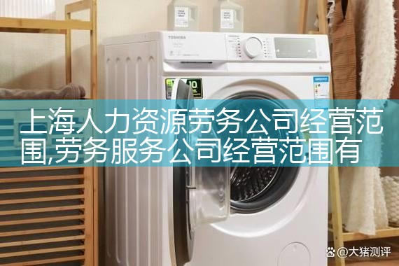 上海人力资源劳务公司经营范围
