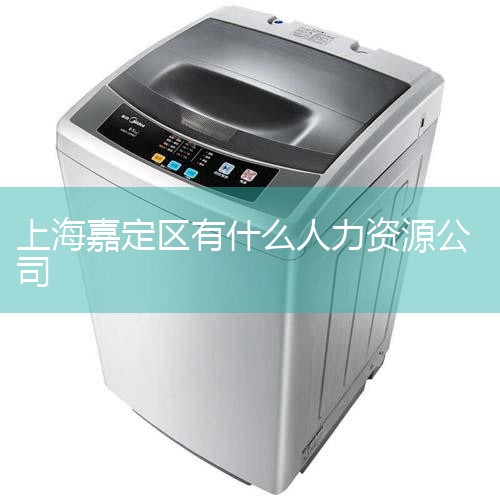 职介所坐落于嘉定区温宿路47弄12号，总面积近1500平方米。一楼为职介大厅，为用人单位和求职者提供优质高效服务，及时发布各类企业用工信息；二楼为多功能厅，设有多间洽谈室，为用人单位和求职者提供一个舒
