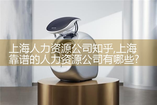 上海人力资源业务外包公司