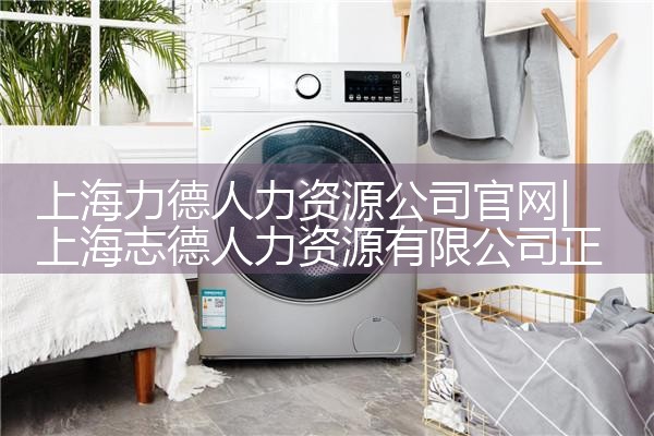 上海嘉定区有什么人力资源公司