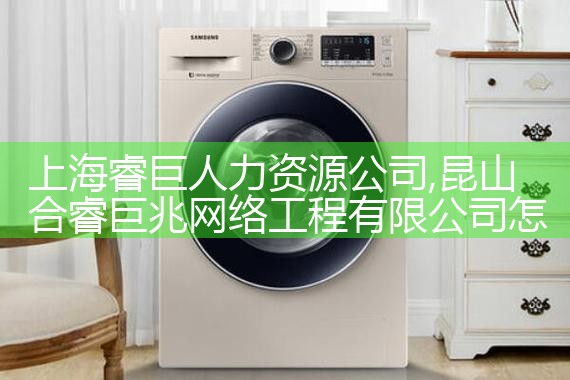 上海睿巨人力资源公司