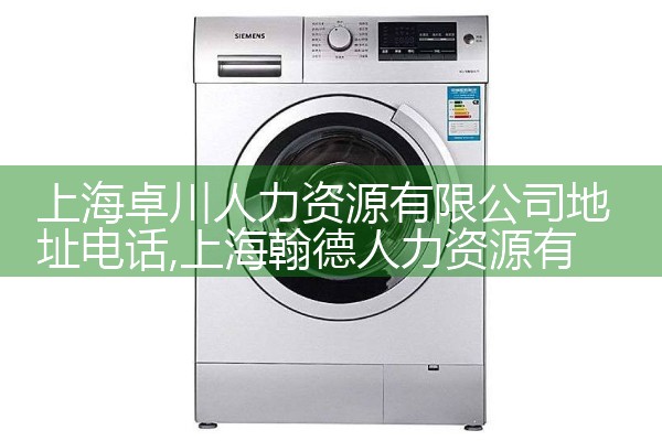 上海人力资源公司名字