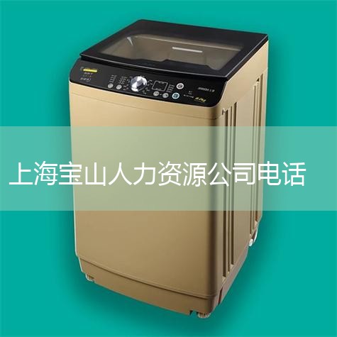 办理地点地址联系电话工作日接待时间浦东新区人才交流中心浦东张杨路1996号（近苗圃路口）586033339:00-11:30，13:00-16:30川沙新镇新川路540号(西门)686504109:0