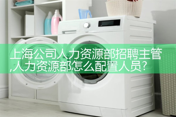 上海专业的人力资源公司服务细致