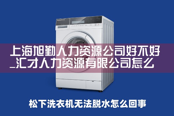 上海外服人力资源公司河南分公司地址在哪
