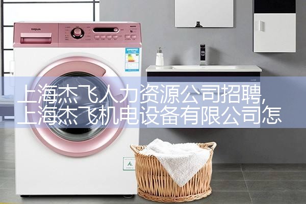 上海四大人力资源公司