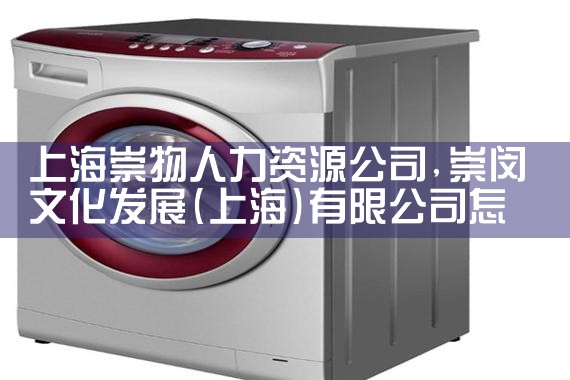 上海崇物人力资源公司