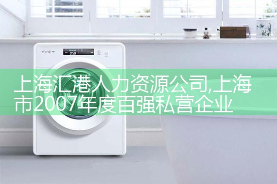 上海正烨人力资源公司