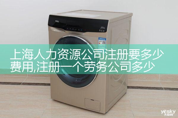 上海人力资源公司注册要多少费用