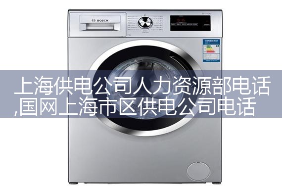上海人力资源怎么查询公司登记信息表