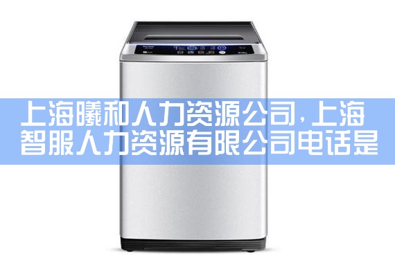 上海曦和人力资源公司