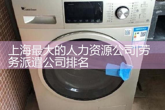 上海菲斯克人力资源公司