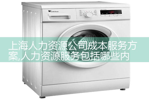上海市人力资源公司名单