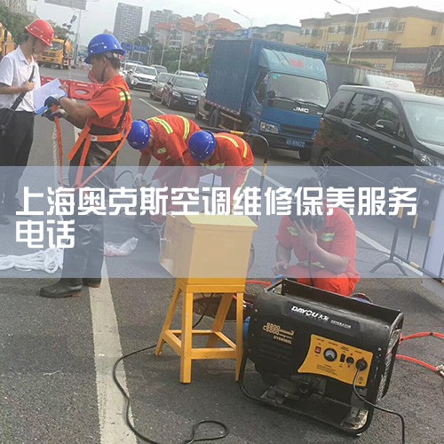 绰:021-33779118Ҫɾ ʱ:202576 ¿˹յĸϢ ڳ:Ϻ  ϸַ:ɽ·182 : ڰ¿˹յ|24Сʱά޵绰