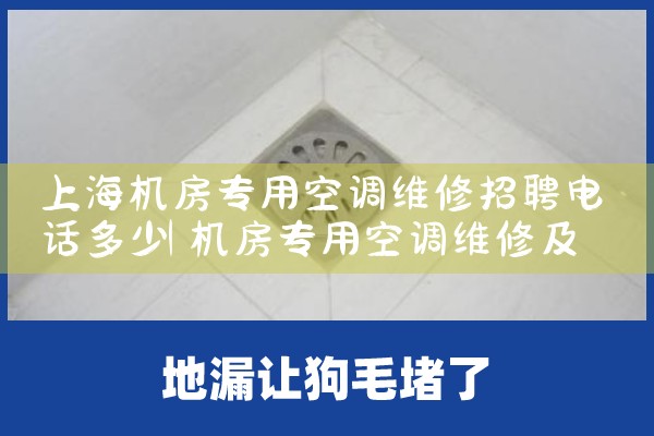 ϺרÿյάƸ绰|ά޿ͷ绰